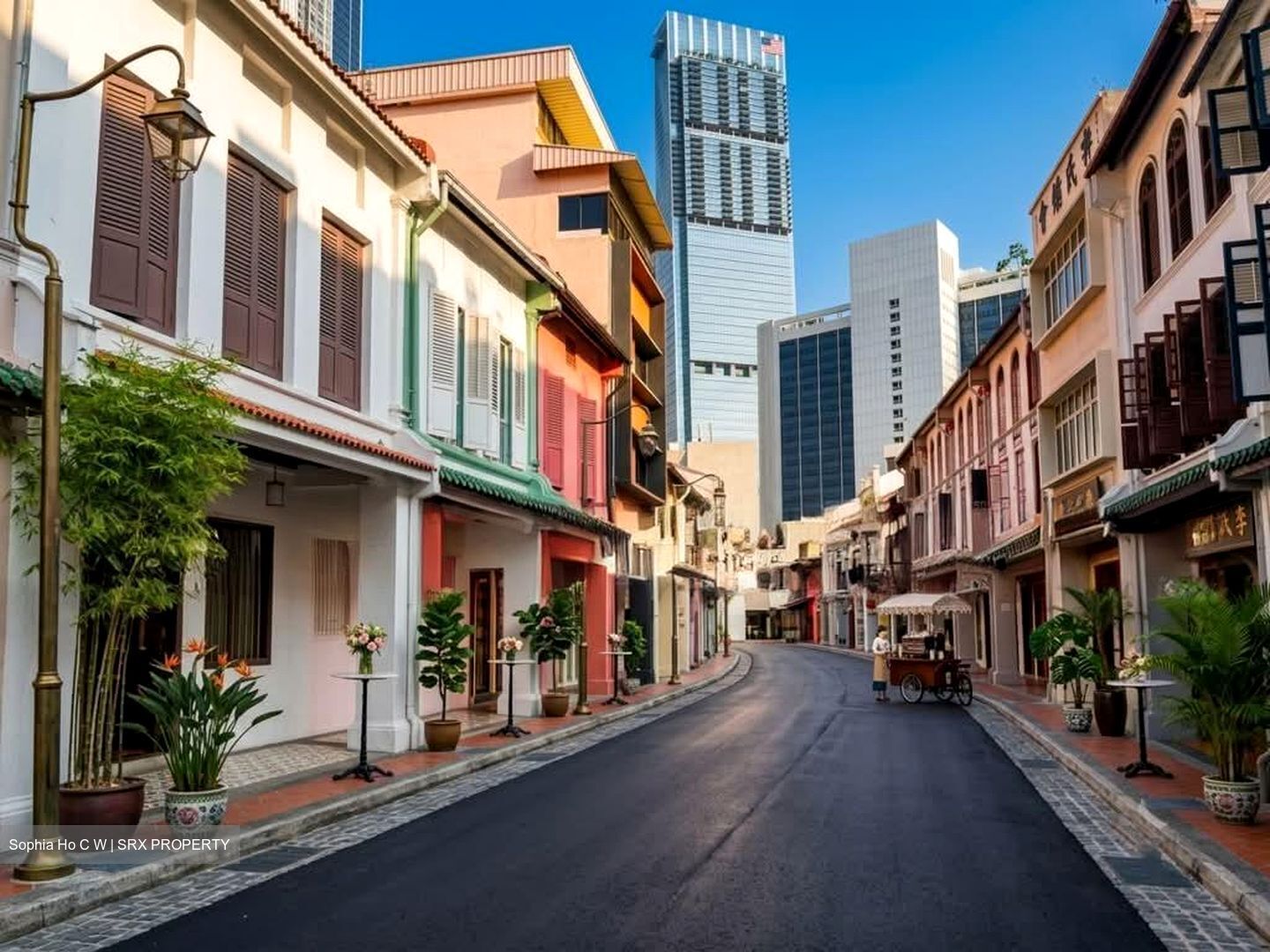 Telok Ayer Conservation Area (D1), Shop House #575211751